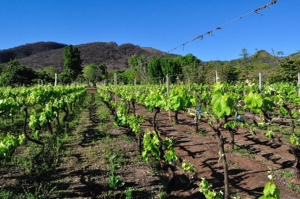 Finca Cielo Verde Chicoana Exterior photo