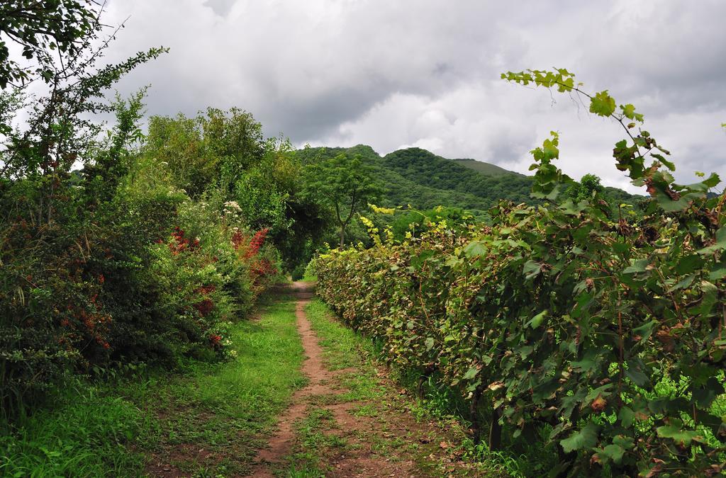 Finca Cielo Verde Chicoana Exterior photo