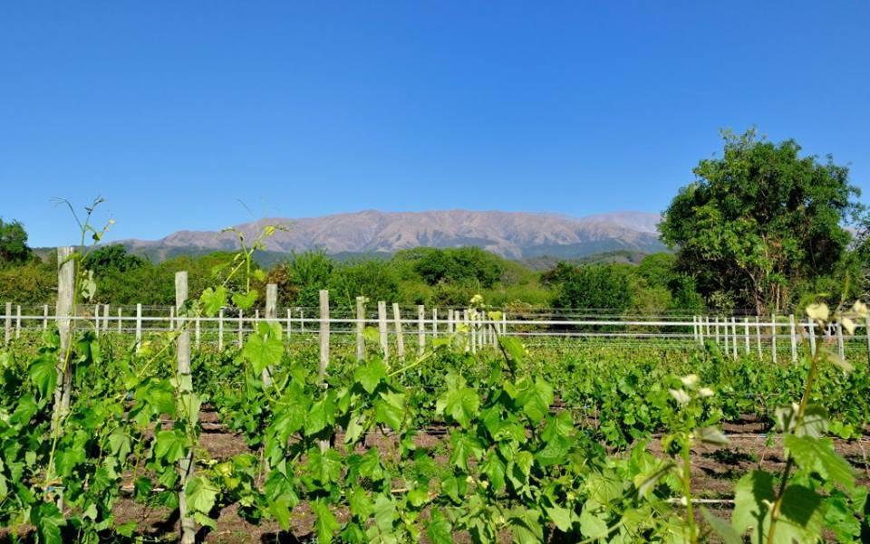Finca Cielo Verde Chicoana Exterior photo